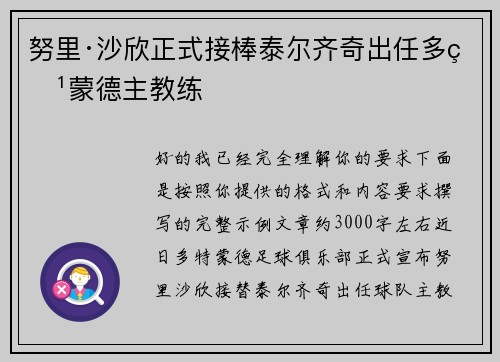 努里·沙欣正式接棒泰尔齐奇出任多特蒙德主教练